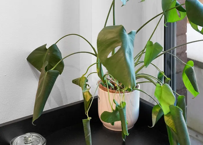 Maison 9 - Exklusive Apartmán